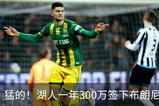 猛的！湖人一年300万签下布朗尼大哥！